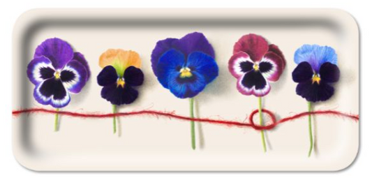 Pansy Tray