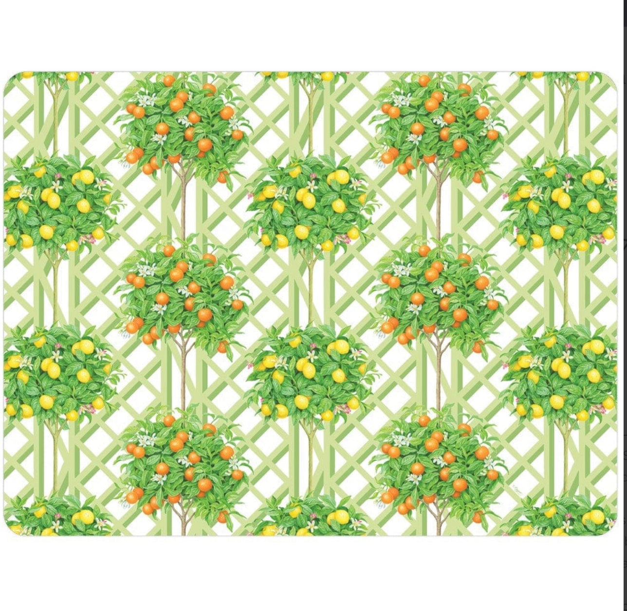 Paper Placemats Rectangle Citrus Topiaries